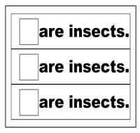 "Are Insects" Flip Strips "Are Insects" Flip Strips