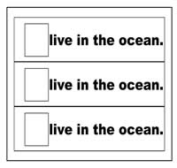 "Live in the Ocean" Flip Strips "Live in the Ocean" Flip Strips