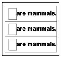 "Are Mammals" Flip Strips "Are Mammals" Flip Strips
