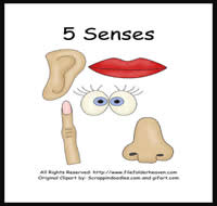 5 Senses Theme 5 Senses Theme