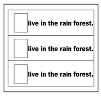"Live in the Rainforest" Flip Strips "Live in the Rainforest" Flip Strips