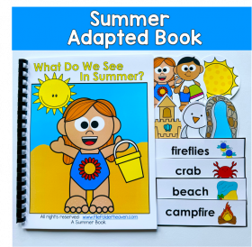 Summer Adapted Book: What Do We See In Summer