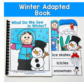 Winter Adapted Book: What Do We See In Winter