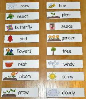 Spring Themed Visual Word Wall Words