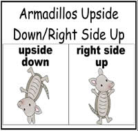 Armadillo Upside Down/Right Side Up Sort File Folder Game