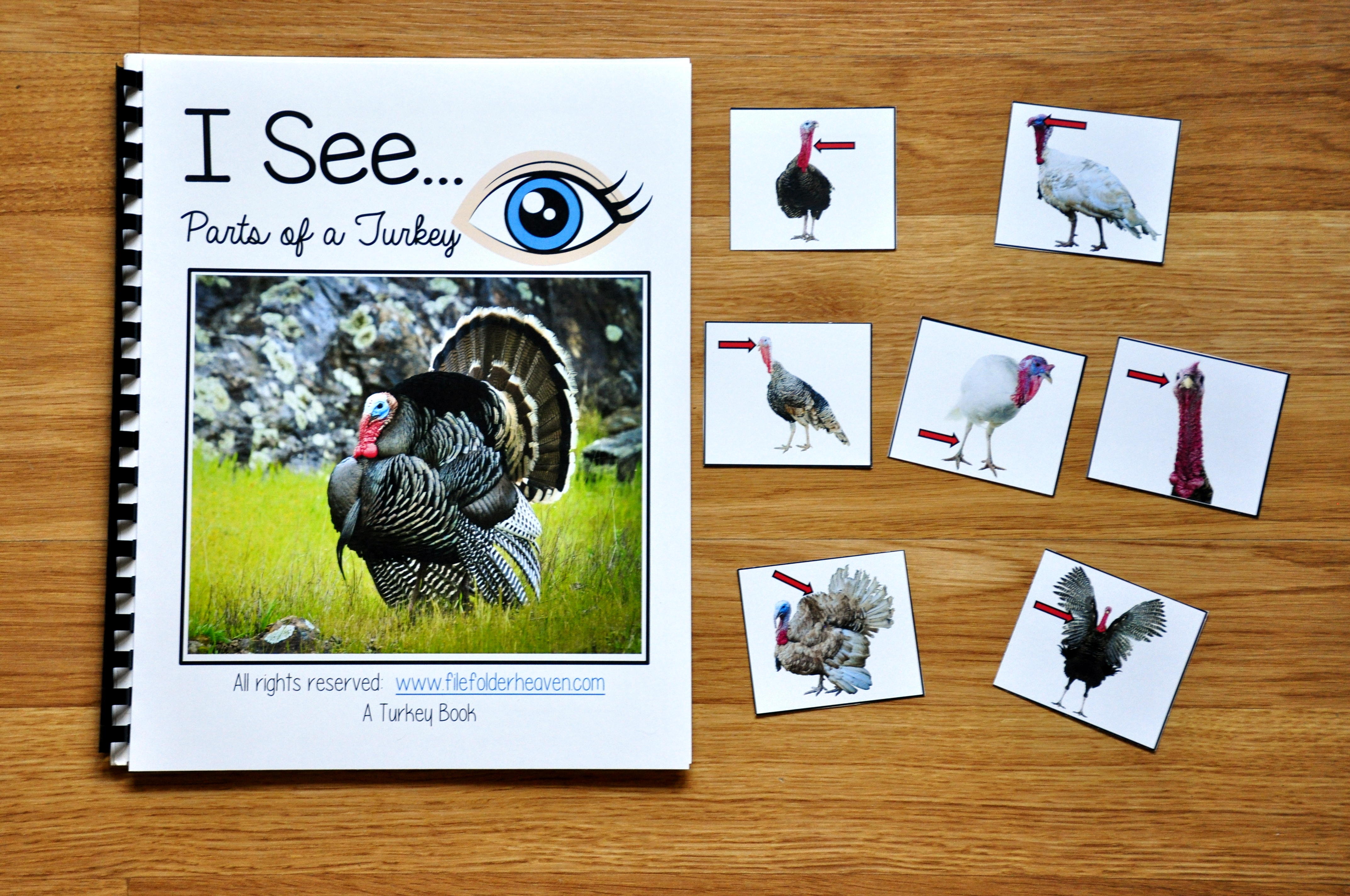 I See Parts of a Turkey Adapted Book (w/Real Photos) - $3.50 : File ...