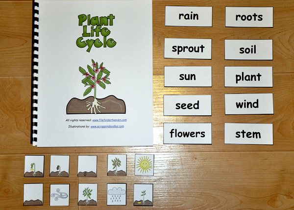 Plant Life Cycle Book Pdf