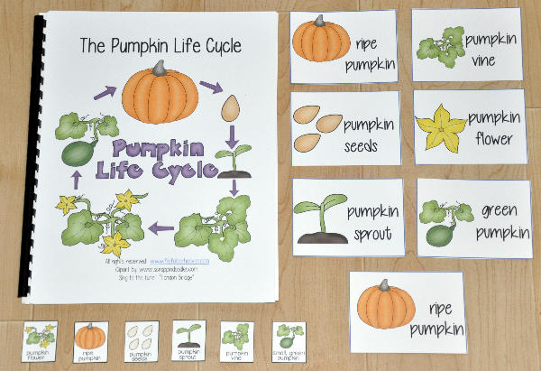\"The Pumpkin Life Cycle\" Adapted Song Book