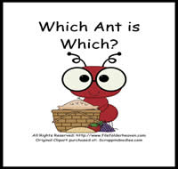 Which Ant is Which Riddle Book