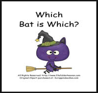 Which Bat Is Which Riddle Book