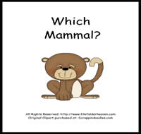 Which Mammal is Which Riddle Book